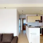 Goga Apartamento *
