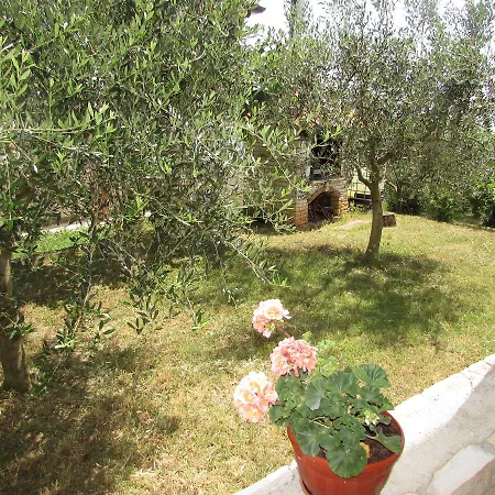 Goga Appartamento Umago